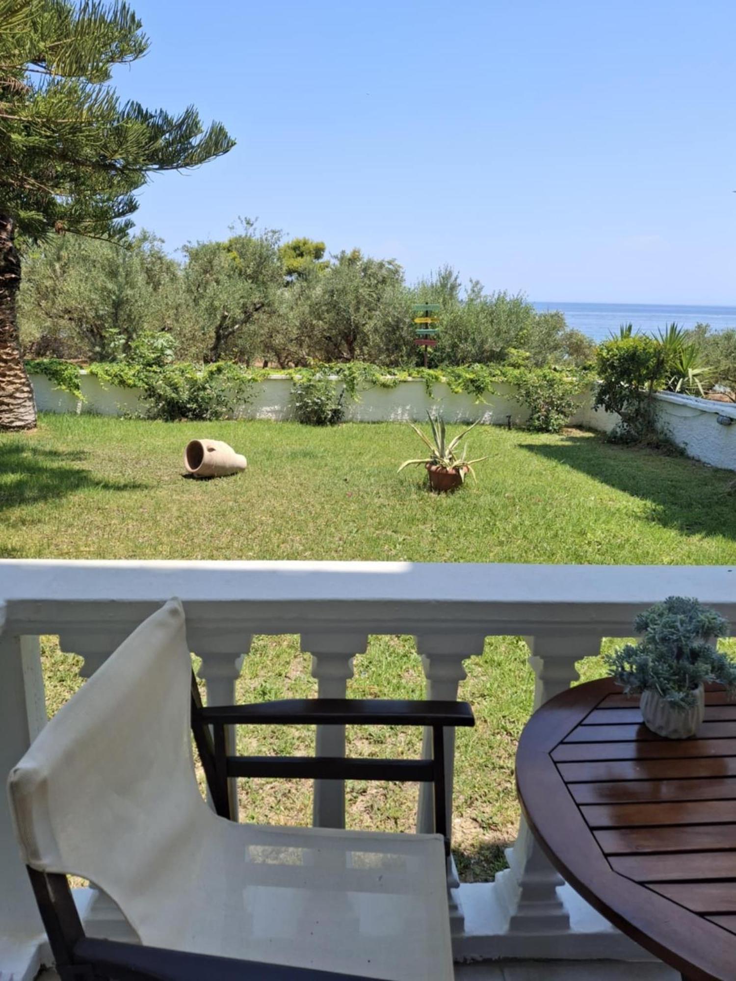 Panorama & Apartamento *